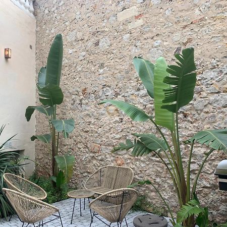 Villa Les Fougeres Studio Jardin Cannes Kültér fotó